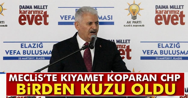 Başbakan Yıldırım: 