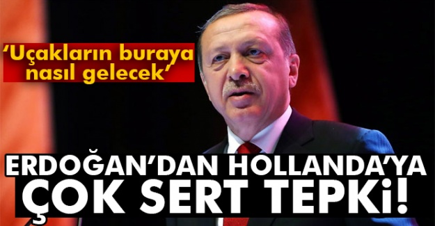 Cumhurbaşkanı Erdoğan'dan Hollanda'ya çok sert tepki!