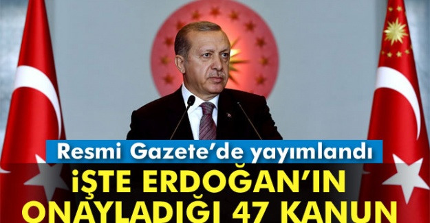 İşte Erdoğan'ın onayladığı 47 kanun