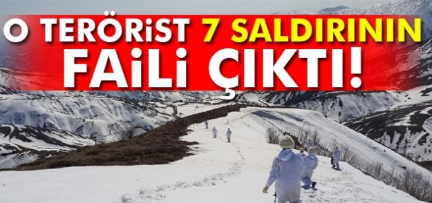 Terörist 7 saldırının faili çıktı