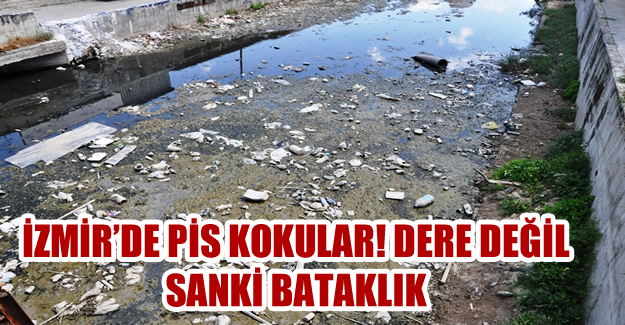 İzmir'de Pis Kokular! Dere Değil Sanki Bataklık