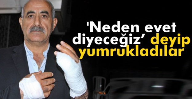 'Neden evet diyeceğiz
