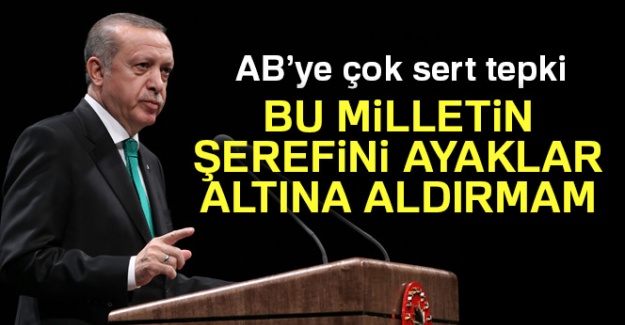 AB'ye çok sert tepki! 'Bu milletin şerefini ayaklar altına aldırmam'