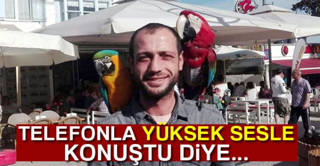 Telefonla yüksek sesle konuştu diye...