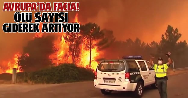 Avrupa'da Facia! ölü Sayısı Artıyor