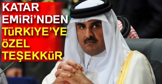 Katar Emiri Şeyh Temim bin Hamad Al Sani'den Türkiye'ye teşekkür