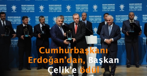 Cumhurbaşkanı Erdoğan'dan, Başkan Çelik'e ödül