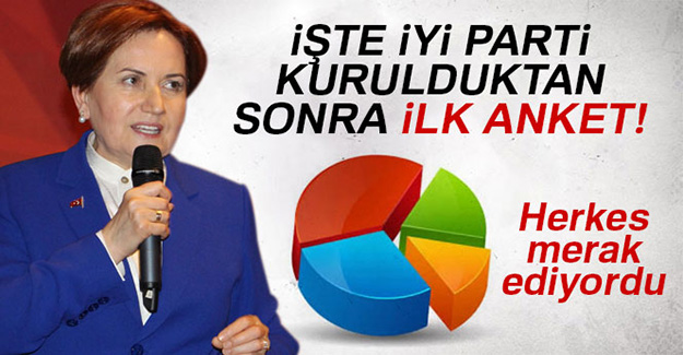 İyi Parti kurulduktan sonra ilk anket! İşte oy oranları...