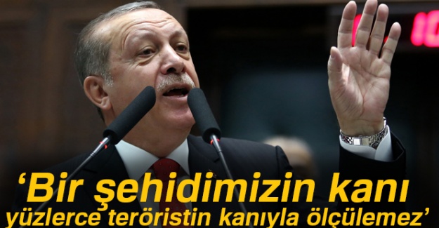 Erdoğan: Bizim bir şehidimizin kanı yüzlerce teröristin kanıyla ölçülemez