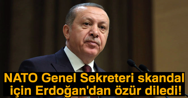 NATO Genel Sekreteri skandal için Erdoğan'dan özür diledi