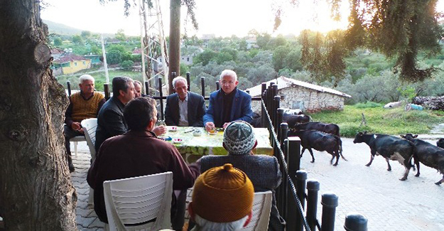 Torbalı’da Zeytin ve Zeytinyağı Festivalı