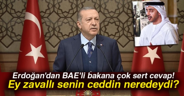 Cumhurbaşkanı Erdoğan'dan BAE'li bakana çok sert cevap