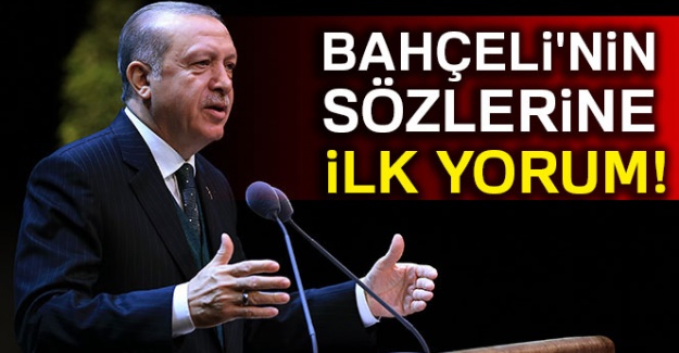 Cumhurbaşkanı Erdoğan'dan Bahçeli'nin sözlerine ilk yorum