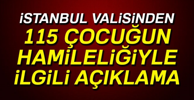 İstanbul Valisi Şahin, 115 çocuğun hamileliğiyle ilgili konuştu