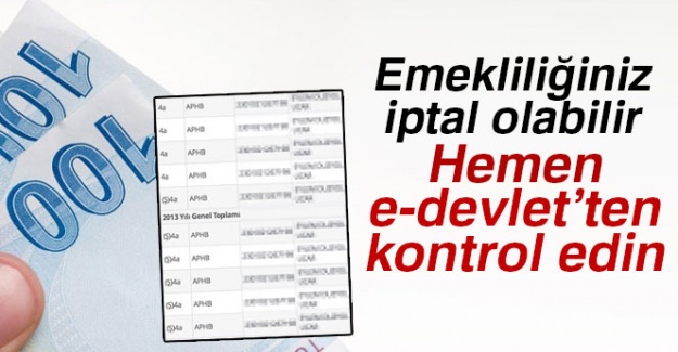 Emekliliğiniz iptal olabilir! Hemen e-devlet'ten kontrol edin!