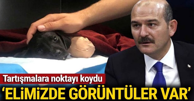 Bakan Soylu'dan Türkiye'yi ayağa kaldıran yavru köpek için açıklama