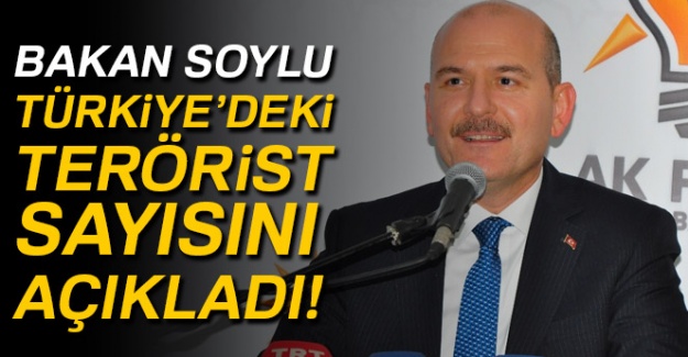 Bakan Soylu Türkiye'deki terörist sayısını açıkladı!