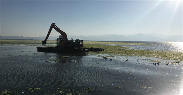 İzmir Körfezi İçin Kritik Uyarı Geldi