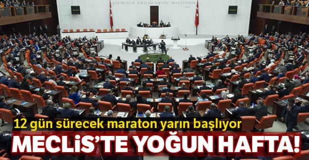Meclis'te yoğun hafta! 12 gün sürecek maraton yarın başlıyor
