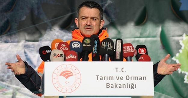 'Yanan ormanlara villa yapılamaz'