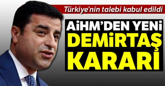 AİHM yeni Demirtaş kararı