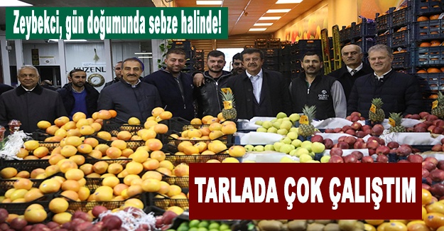 Zeybekci, gün doğumunda sebze halinde