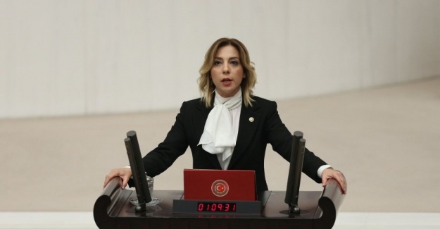 Milletvekili Gökcan: