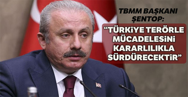 TBMM Başkanı Şentop: Türkiye terörle mücadelesini kararlılıkla sürdürecektir