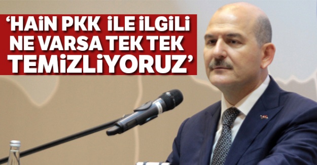 Bakan Soylu: 'Hain PKK ile ilgili ne varsa tek tek temizliyoruz'