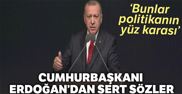 Cumhurbaşkanı Erdoğan: Bunlar politikanın yüzkarası