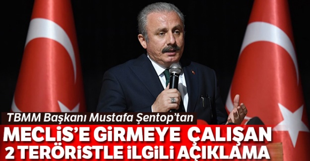 Şentop'dan Meclise girmeye çalışan 2 teröristle ilgili açıklama