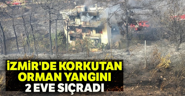 İzmir'de korkutan orman yangını: 2 eve sıçradı