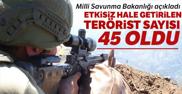 MSB: 'Etkisiz hale getirilen terörist sayısı 45 oldu'