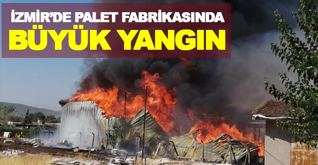 İzmir'de palet fabrikasında büyük yangın!