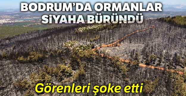 Bodrum'da siyaha bürünen ormanlar havadan görüntülendi
