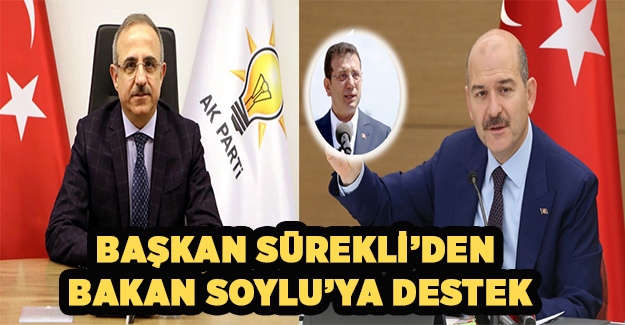 Başkan Sürekli'den Bakan Soylu'ya destek açıklaması