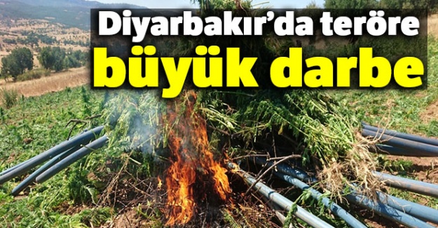 Diyarbakır'da teröre büyük darbe