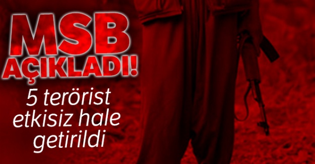 MSB açıkladı! 5 PKK'lı terörist etkisiz hale getirildi