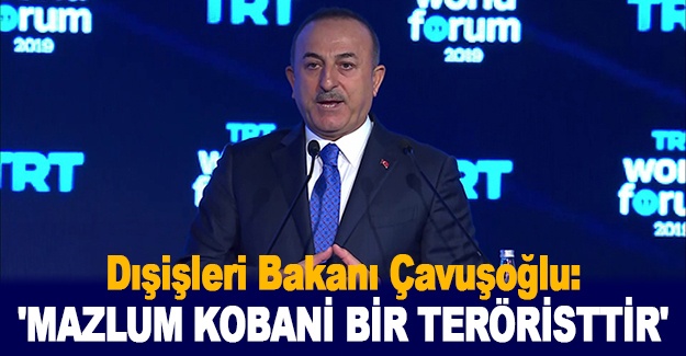 Dışişleri Bakanı Çavuşoğlu: 'Mazlum Kobani bir teröristtir'