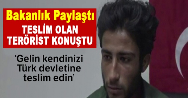 Teslim olan terörist: 'Siz orada savaşanlar, gelin kendinizi Türk devletine teslim edin'