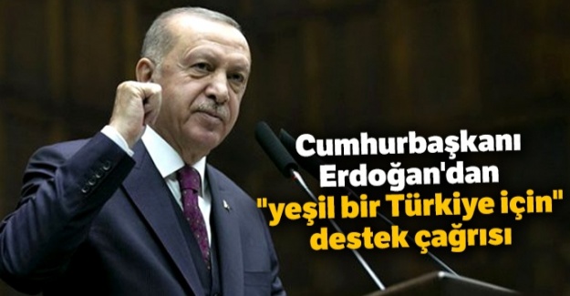 Cumhurbaşkanı Erdoğan'dan "yeşil bir Türkiye için" destek çağrısı