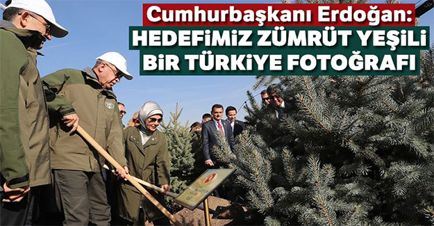 Cumhurbaşkanı Erdoğan: Orman varlığımızı 17 yılda 22,6 milyon hektara çıkardık