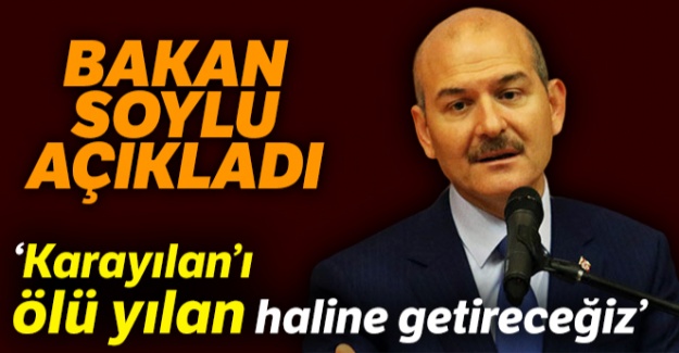 İçişleri Bakanı Süleyman Soylu: 'Milletimize sözümüzdür; Karayılan'ı ölü yılan haline getireceğiz'