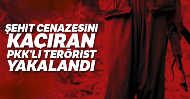 Şehit cenazesini kaçıran PKK'lı terörist yakalandı