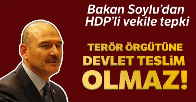 Bakan Soylu'dan HDP'li Vekile tepki