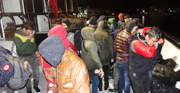 Çanakkale'de 82 mülteci yakalandı