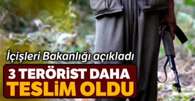 İçişleri Bakanlığı açıkladı: 3 terörist daha teslim oldu