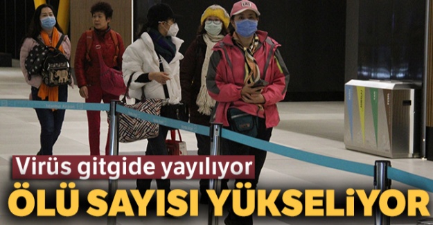 Çin'deki salgında ölenlerin sayısı 132'ye yükseldi