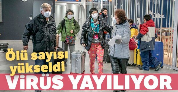 Ölü sayısı yükseldi, virüs yayılıyor
