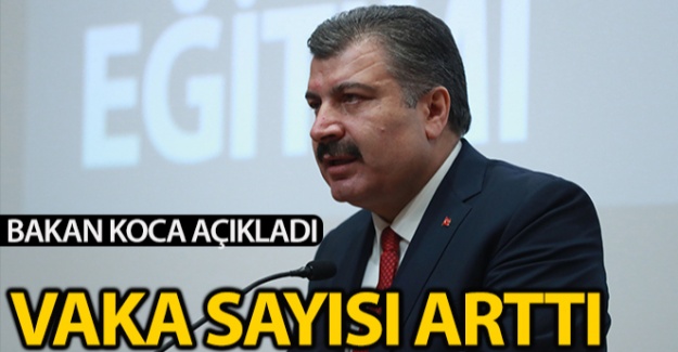 Bakan Koca vaka sayısını açıkladı